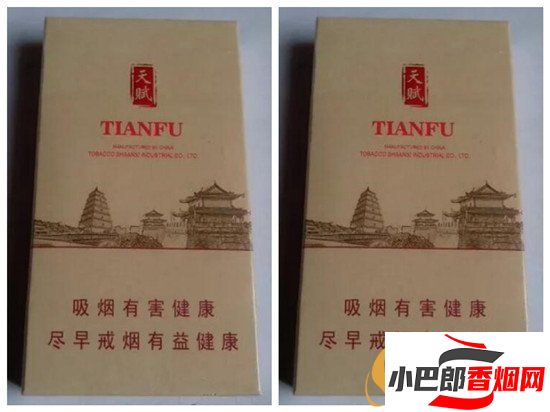 好貓天賦香煙口感及價格介紹截圖