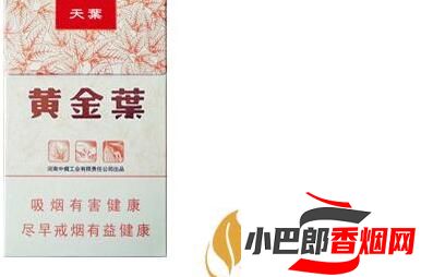 黃金葉天葉香煙口感深度品鑒截圖