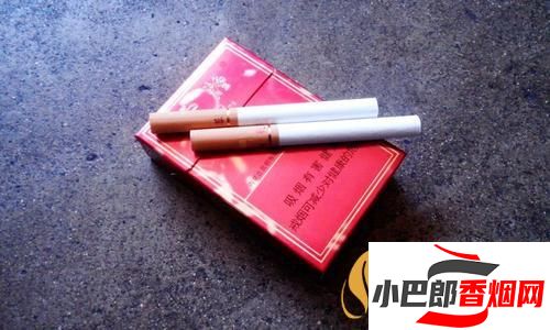 云煙軟蓯蓉云霄香煙批發價格介紹截圖