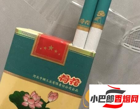 軟荷花馬爾斯綠香煙口感測評分享截圖