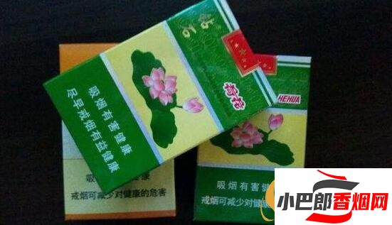 2023國內關注度最高香煙排行榜分享截圖