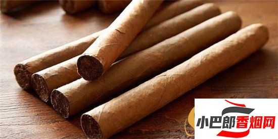 2023長(zhǎng)城風(fēng)雅雪茄煙批發(fā)價(jià)格介紹截圖