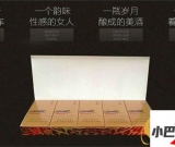 免稅泰山雪豹細(xì)支雪茄多少錢(qián)-2023泰山雪豹細(xì)支雪茄批發(fā)價(jià)格介紹